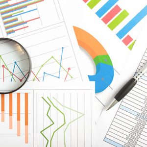 SEO Reporting