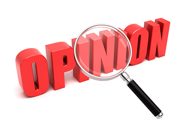Search Opinion